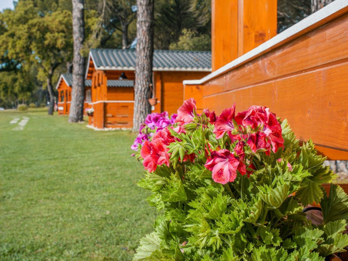Chalet Do Lago 몬타르길 외부 사진